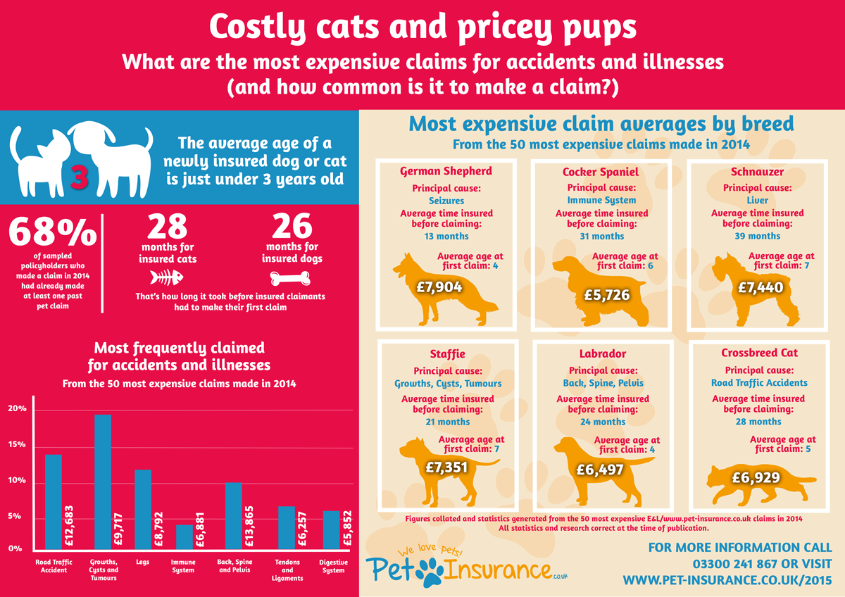 Costly cats and pricey pups INFOGRAPHIC www.pet
